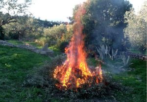 Read more about the article Largement pratiqué, le brûlage des déchets verts reste strictement interdit