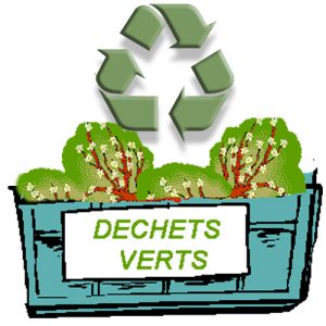 Lire la suite à propos de l’article Le brulage des déchets verts nuit à l'environnement
