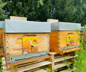 Lire la suite à propos de l’article Des nouvelles de nos abeilles !