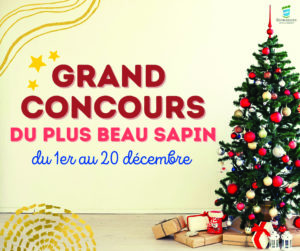 Read more about the article La commune lance son 1er concours de sapins de Noël