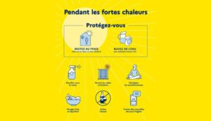 Lire la suite à propos de l’article Canicule : soyons solidaires !
