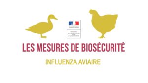 Lire la suite à propos de l’article IMPORTANT : Cas d’influenza aviaire à Saint-Saturnin-lès-Avignon-Mise en place d’une zone de contrôle temporaire