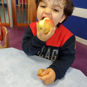 IMG_20260224_091009 - Copie