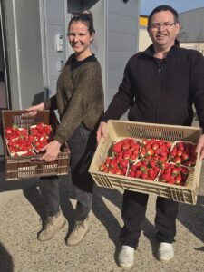 Lire la suite à propos de l’article DES FRAISES OFFERTES POUR LES PETITS ENTRAIGUOIS