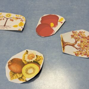 Fruits 2